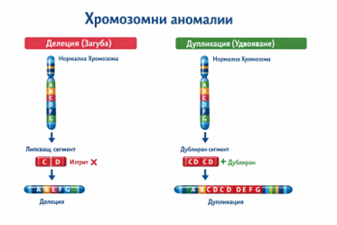 hromozomni-anomalii.png